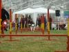 01-Apple-Cup-2008