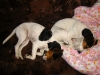 01-s-albim-na-chaloupce-07-2010-003-6