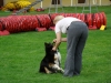 kennel-cup-2010-058