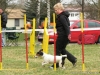 120331_07_canon_550_cb-agility