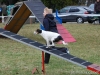 120331_07_nicon_451_cb-agility