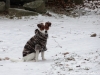 roznov-01-2012-006