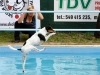 03-WaterDogs-09-2012-3