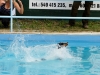 03-WaterDogs-09-2012-4