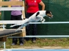 03-WaterDogs-09-2012-7