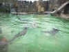 zoo-praha-26-3-013