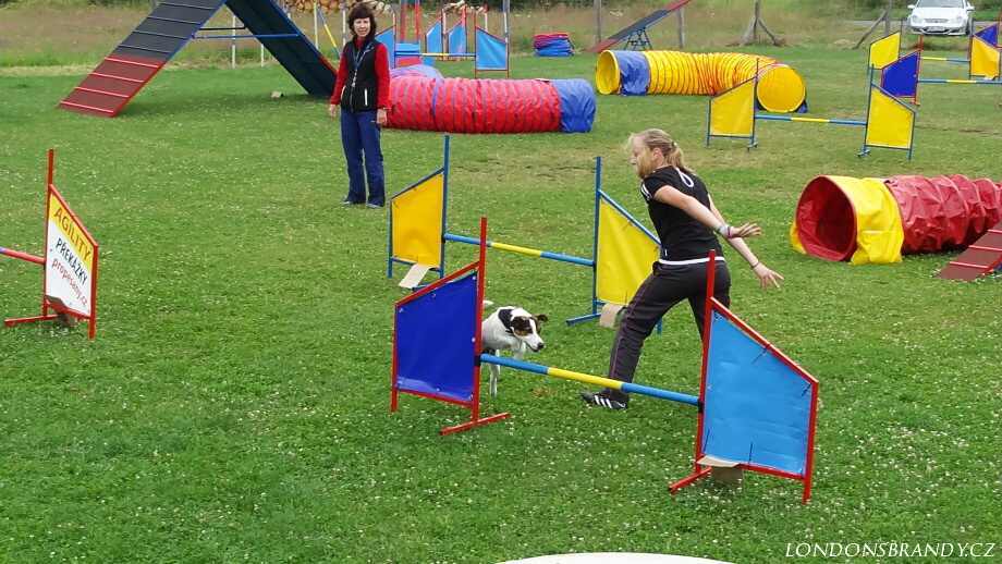 Agility-tabor-Nove-hrady-2014 667