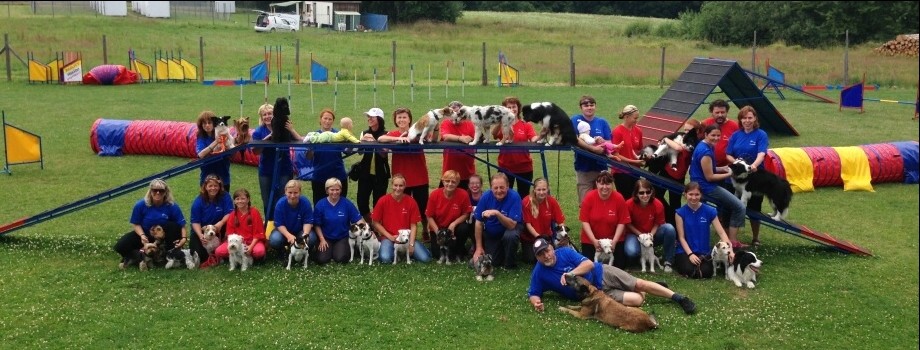 AGILITY TÁBOR NOVÉ HRADY 2014