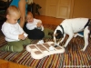 minicoudci-a-dogbrick-10-2011-003