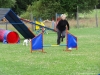 agility-tabor-nove-hrady-2014-585