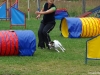 agility-tabor-nove-hrady-2014-652