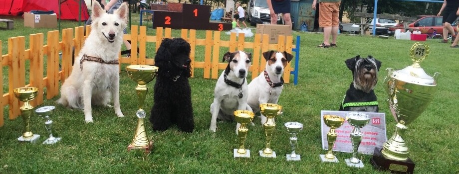 FORPES AGILITY 2015