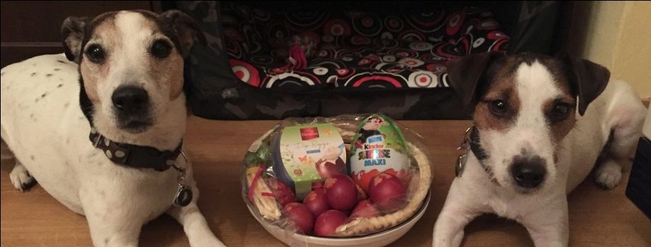 VELIKONOCE 2016 (raněná Bailinka, chaloupka a mudí štěňátka)